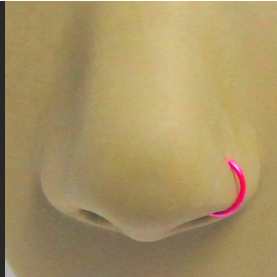 Nose Ring Hoops